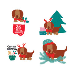 Christmas puppy dog dachshund. Merry Christmas for dog lover. Cute cartoon vector illustration. Holidays design element for greeting cards, stickers, t shirt, poster.