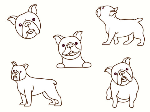 Cute dog character of french bulldog breed. Dogs are standing in different poses. Flat design line vector icon set
