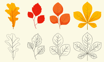Obraz premium Coloring game for the development of children. Autumn leaf icon set. Vector set of maple, chestnut and hawthorn leaves. Cute autumn falling leaves for coloring.