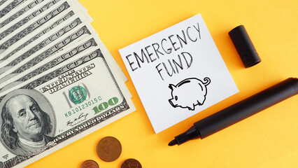 Emergency fund is shown using the text