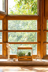 Sunny glass and wooden balcony with potted houseplant.