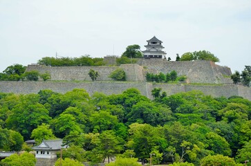 Fototapeta na wymiar 丸亀城 天守閣と石垣