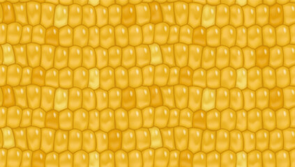 Sweet corn seamless pattern background for yellow page fill, wrapping paper. Fresh maize cob seamless texture. Healthy vegetarian food vegetable vector agricultural background
