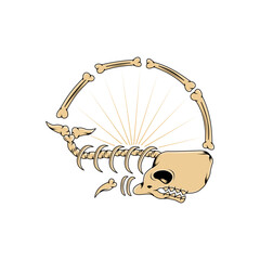 shark skull illustration design black background