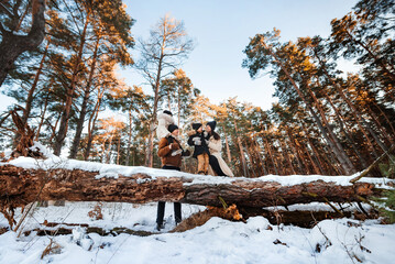 Young family with children walks in winter forest. Wide angle shooting. Winter landscape with coniferous pine forest.