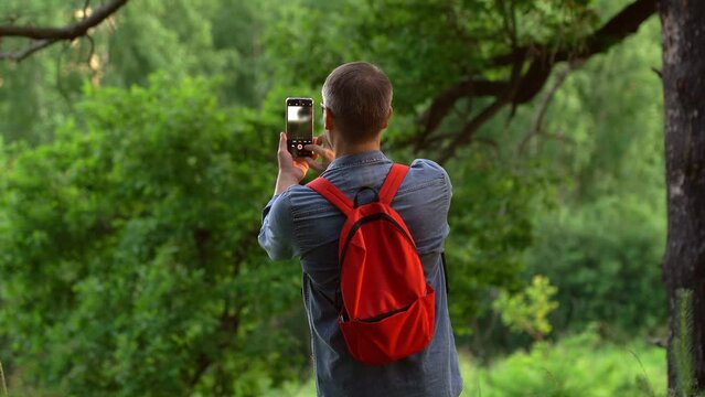 Back view of tourist with backpack while traveling takes pictures with smartphone summer landscape in forest. Shoot video, make photos nature