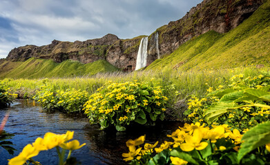 Wondeful nature landscape of Iceland. Fantastic picturesque scenery with waterfal and colorful sky during sunset, Iceland Is one famous natural landmark and travel destination place. Wild area image