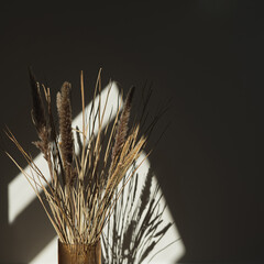 Aesthetic dried beige pampas grass, reeds in glass vase. Beautiful minimal background with neutral...