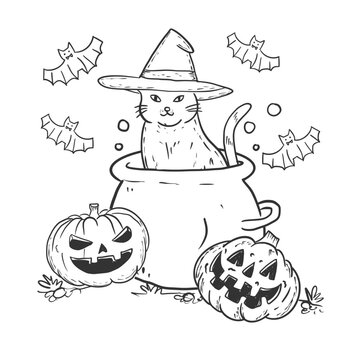 Halloween cat in a witch hat sitting among halloween pumpkin. Black and white illustration for coloring book good for kid or adult who love art. it's on transperent backgound.