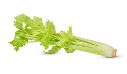 celery on white background.