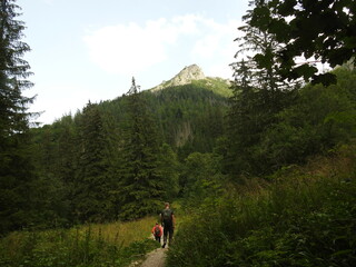 Fototapeta premium tourists in the Tatry mountains in Poland national park of Zakopane