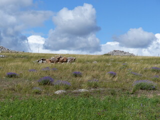 Causse du M&eacute;jean