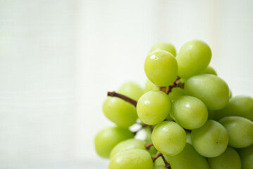 新鮮なシャインマスカット
