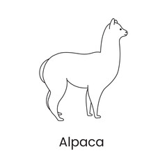 Alpaca icon line in vector, illustration of an animal.