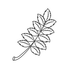 Vector illustration of a branch with leaves in the Russian style. A design element. Imitation of Russian painting.
