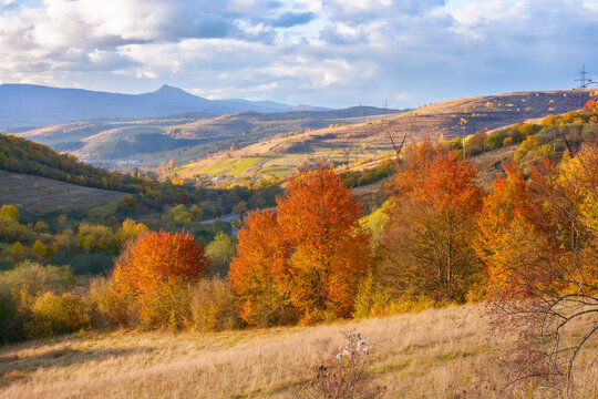 fantastic autumn afternoon in carpathians. iconic picture of transcarpathia with pikui peak in the distance. superb evening landscape of ukrainian countryside. traveling concept background