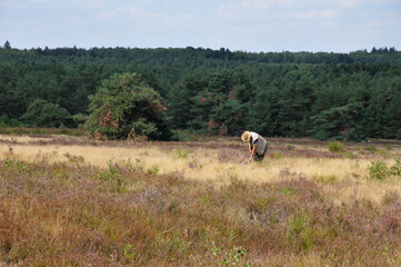  in der mehlinger heide