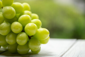 新鮮なシャインマスカット