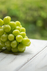 新鮮なシャインマスカット