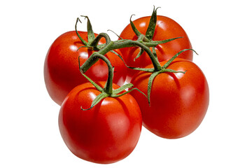 Tomato branch on white
