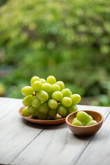 新鮮なマスカット
