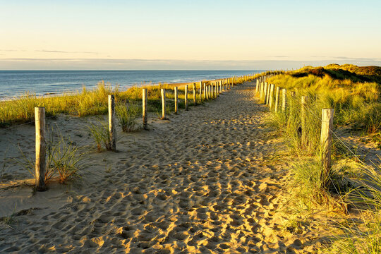 A beautiful sandy trail along the ocean. North Holland dune reserve, Egmond aan Zee, Netherlands. © Susanne Fritzsche