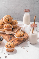 Chocolate chip muffins with milk