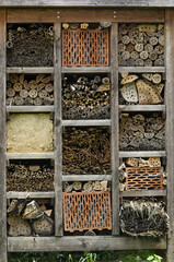 Insect house hotel in Prague Zoo