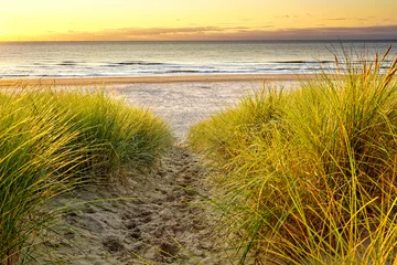 Selbstklebende Fototapete Nordsee, Niederlande Ein wunderschöner Sandweg hinunter zum Meer. Dünenreservat Nordholland, Egmond aan Zee, Niederlande.