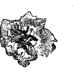 abstract floral background