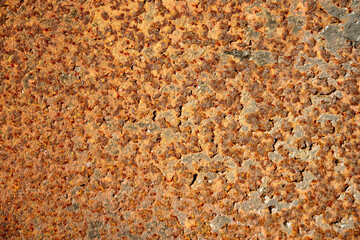 Rust of metals.Corrosive Rust on old iron.Use as illustration for presentation.                                                      