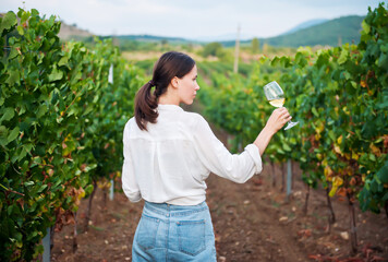 Girl winemaker technologist checks the quality of wine in a glass against the background of a vineyard