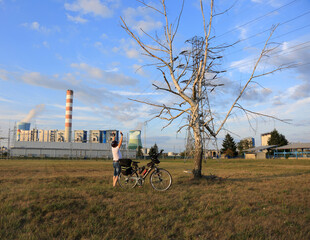 Mężczyzna z rowerem turystycznym przed uschniętym drzewem brzozy, elektrownia. - obrazy, fototapety, plakaty