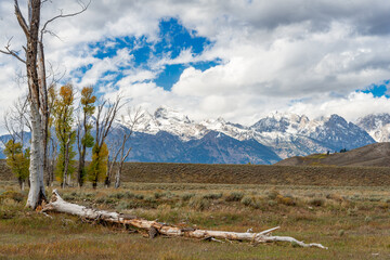 Scenic view of the countryside around the Grand Teton National Park