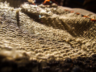 Abstract Photography, shot is selective focus with shallow depth
