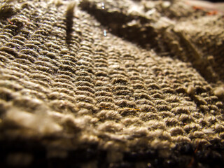 Abstract Photography, shot is selective focus with shallow depth