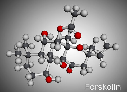 Forskolin, coleonol molecule. It is anti-HIV agent, labdane diterpene, is found in the Indian Coleus plant. Molecular model. 3D rendering