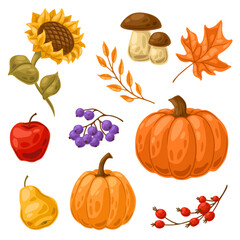 Set of autumn plants. Harvest illustration of vegetables and leaves.
