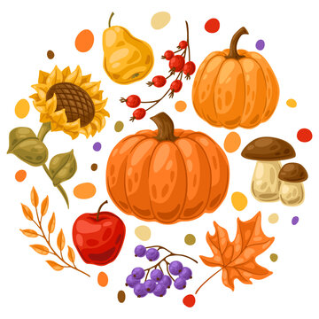 Background with autumn plants. Harvest illustration of vegetables and leaves.