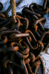 Fototapeta premium Abstract Photography, shot is selective focus with shallow depth