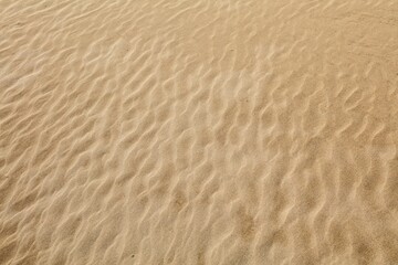 Fototapeta na wymiar Wind pattern on desert sand
