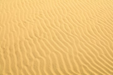 Desert sand texture - wind pattern