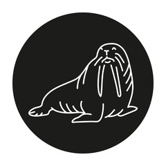 Walrus color line illustration. Marine mammals.