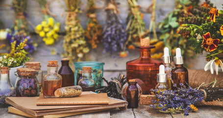 Medicinal herbs and tinctures homeopathy. Selective focus.