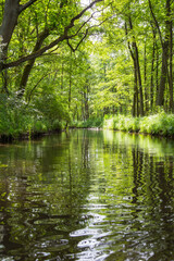 Obraz premium Wasserwanderung, Fluss im Wald, Wasserweg