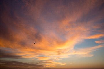 sunset in the sky with a bird