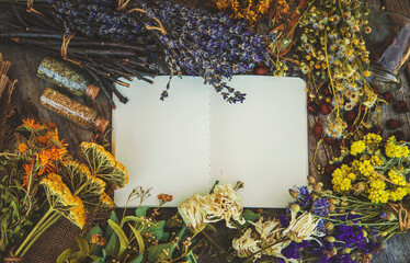 Medicinal herbs and tinctures homeopathy. Selective focus.