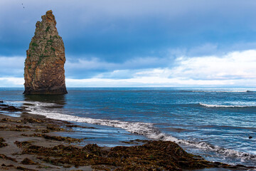 seascape of Kunashir, ocean shore with a huge vertical rock in the water and a wild beach with algae thrown out by the sea