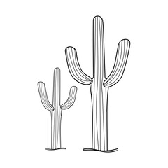Linear Cactus. Hand drawn cactus isolated on white background. Floral succulent plants detailed in line art style. Vintage illustration.