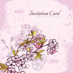 Blossom cherry or sakura invitation postcard vector illustration